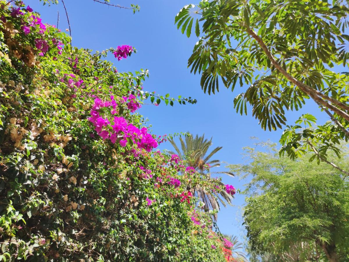 Villa Zinnia Playa Blanca  Kültér fotó